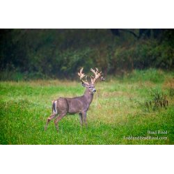 Legends Deer Ranch (8328)