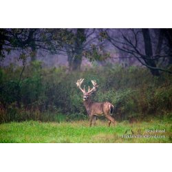 Legends Deer Ranch (8329)