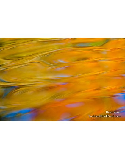 Tuesdays With Todd and Brad Reed (8479)