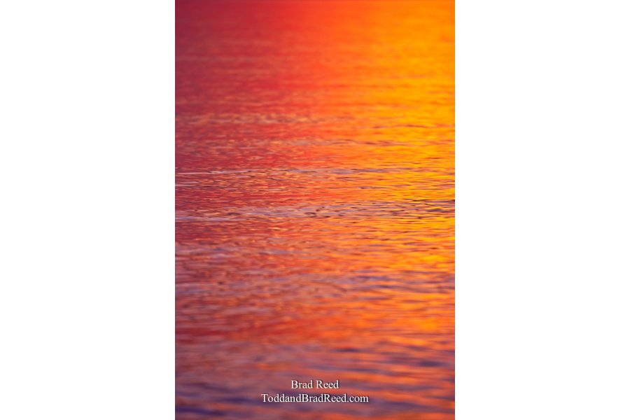 Rippling