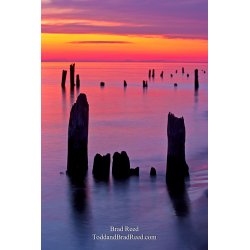 Ludington State Park (8641)