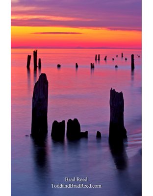 Ludington State Park (8641)