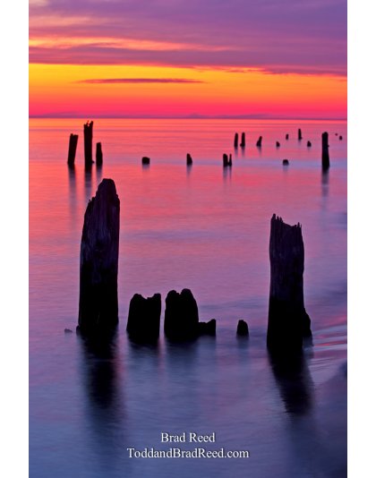 Ludington State Park (8641)