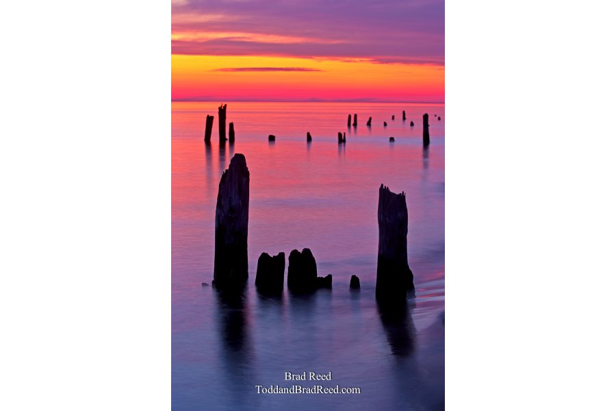 Ludington State Park (8641)