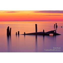 Ludington State Park (8648)