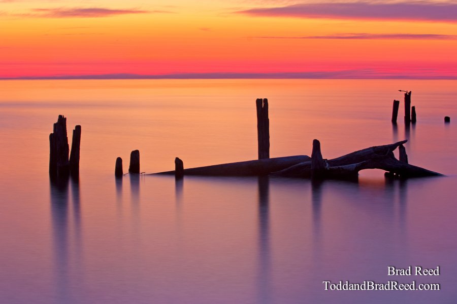 Ludington State Park (8648)