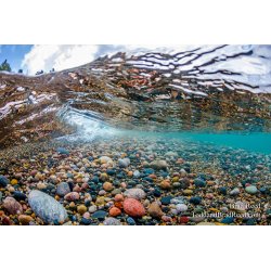 Wednesday Under Water at 12 Mile Beach (8666)