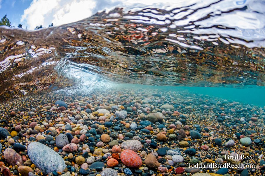 Wednesday Under Water at 12 Mile Beach (8666)