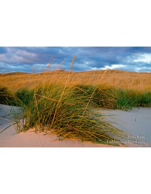 October 28 2012 (8757)