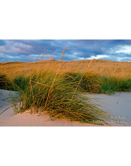 October 28 2012 (8757)