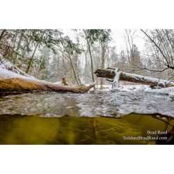 Underwater Lincoln River (8798)