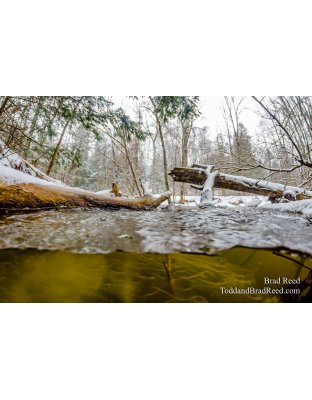 Underwater Lincoln River (8798)