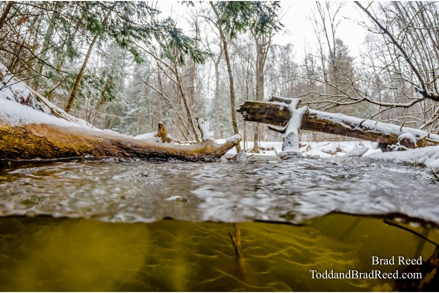 Underwater Lincoln River (8798)