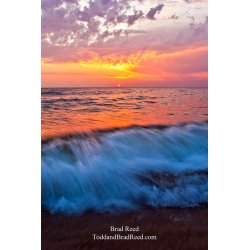 Summer Rush - cropped vertical
