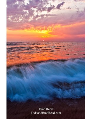 Summer Rush - cropped vertical