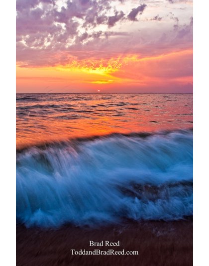 Summer Rush - cropped vertical