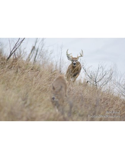 Tuesdays With Todd and Brad Reed (9199)