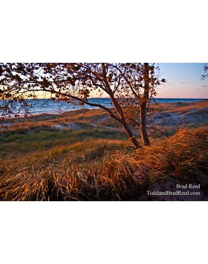 Weekend Workshop (9602)