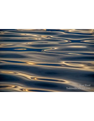 Workshop at Ludington State Park (9652)