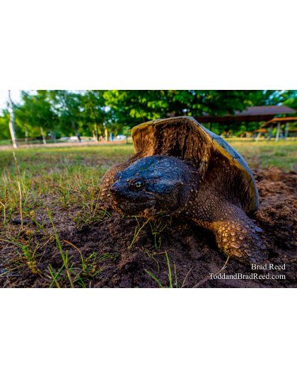 Workshop at Ludington State Park (9744)