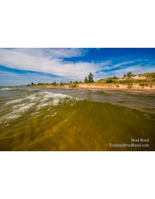 Craig Goodman (9820)