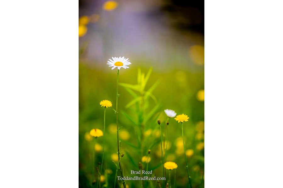 A Delicate Moment
