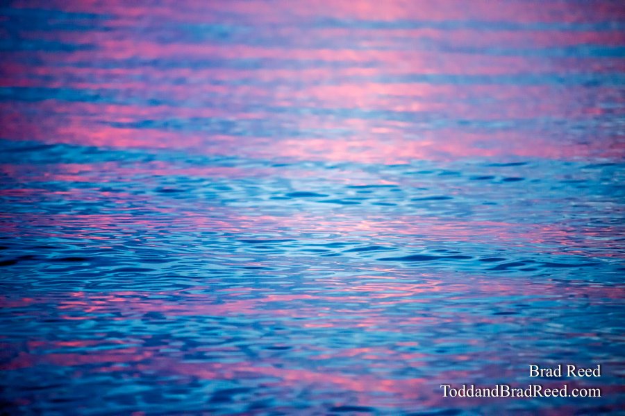Cotton Candy