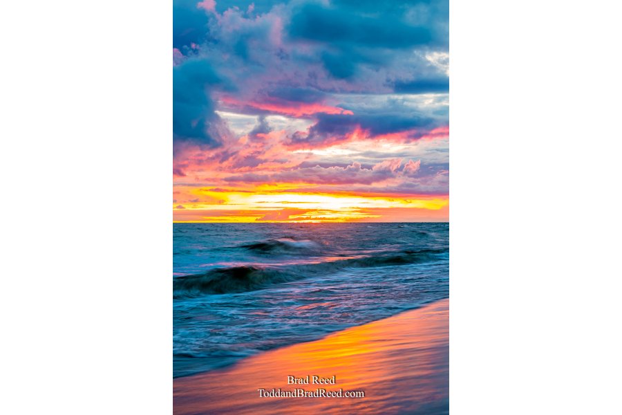 Electric Shoreline