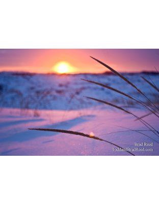 February 2008 (4350)