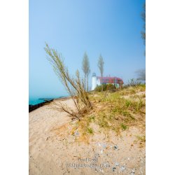 Foggy Day at Point Betsie