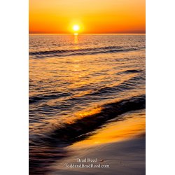 Lake Michigan Muse