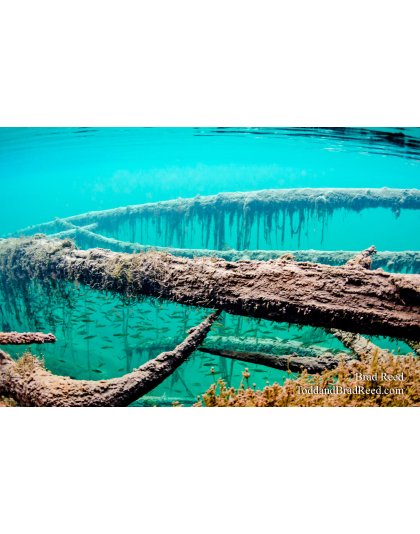 Legend of Kitch-Iti-Kipi (8785)