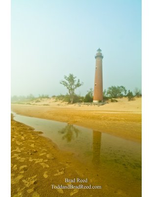 Little Point Sable (3699)