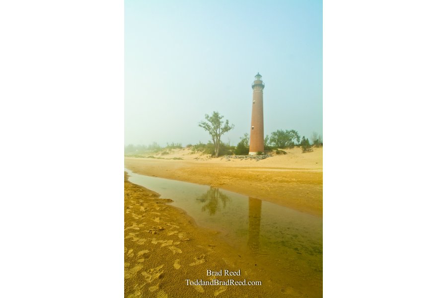 Little Point Sable (3699)