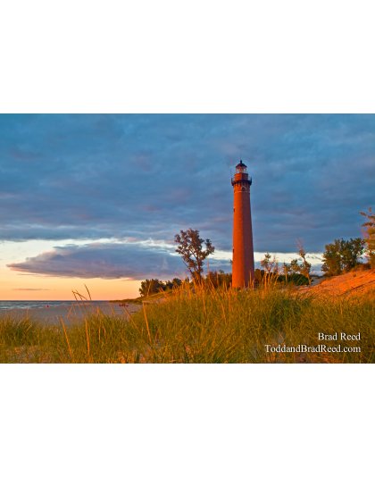 Little Sable in Magic Light