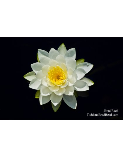 Ludington State Park