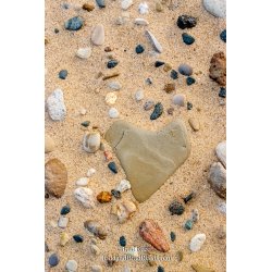 Ludington State Park (3983)