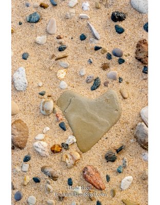 Ludington State Park (3983)