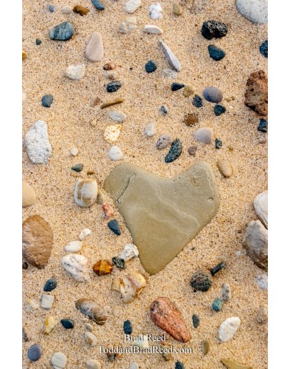 Ludington State Park (3983)