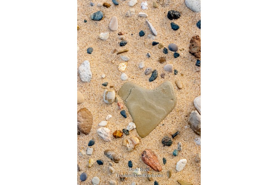 Ludington State Park (3983)
