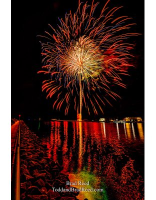 Ludingtons Best Show