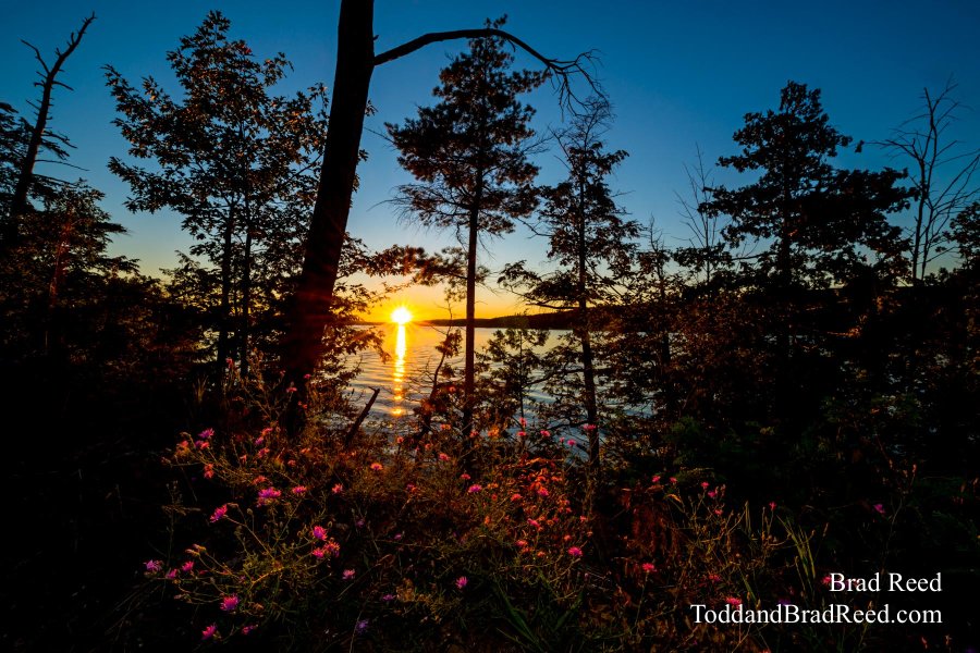 Maribeths Walloon Lake