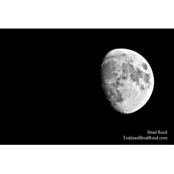 Marvelous Moon - Black and White