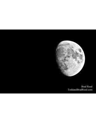 Marvelous Moon - Black and White