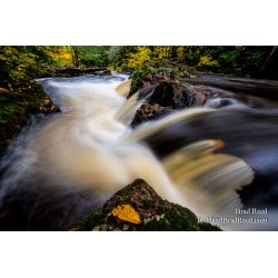Overlooked Falls