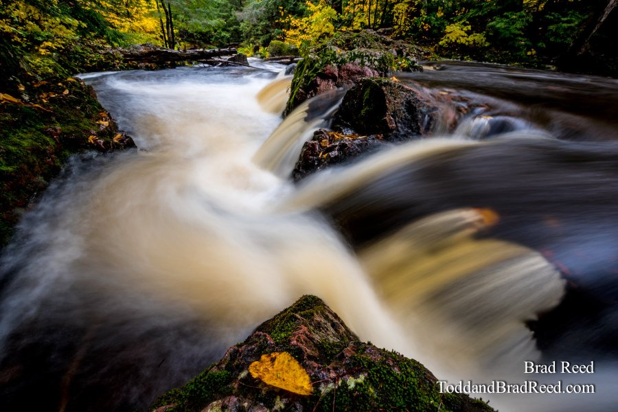Overlooked Falls