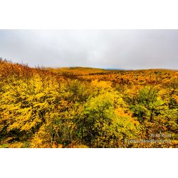 Porcupine Summit