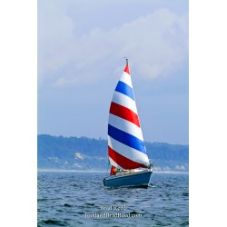 Red White and Blue Sailboat (7121)