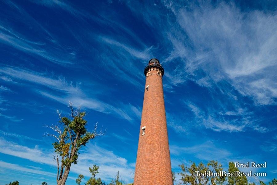 Sable Skies