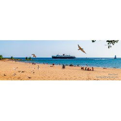 Stearns Beach Days - Panoramic